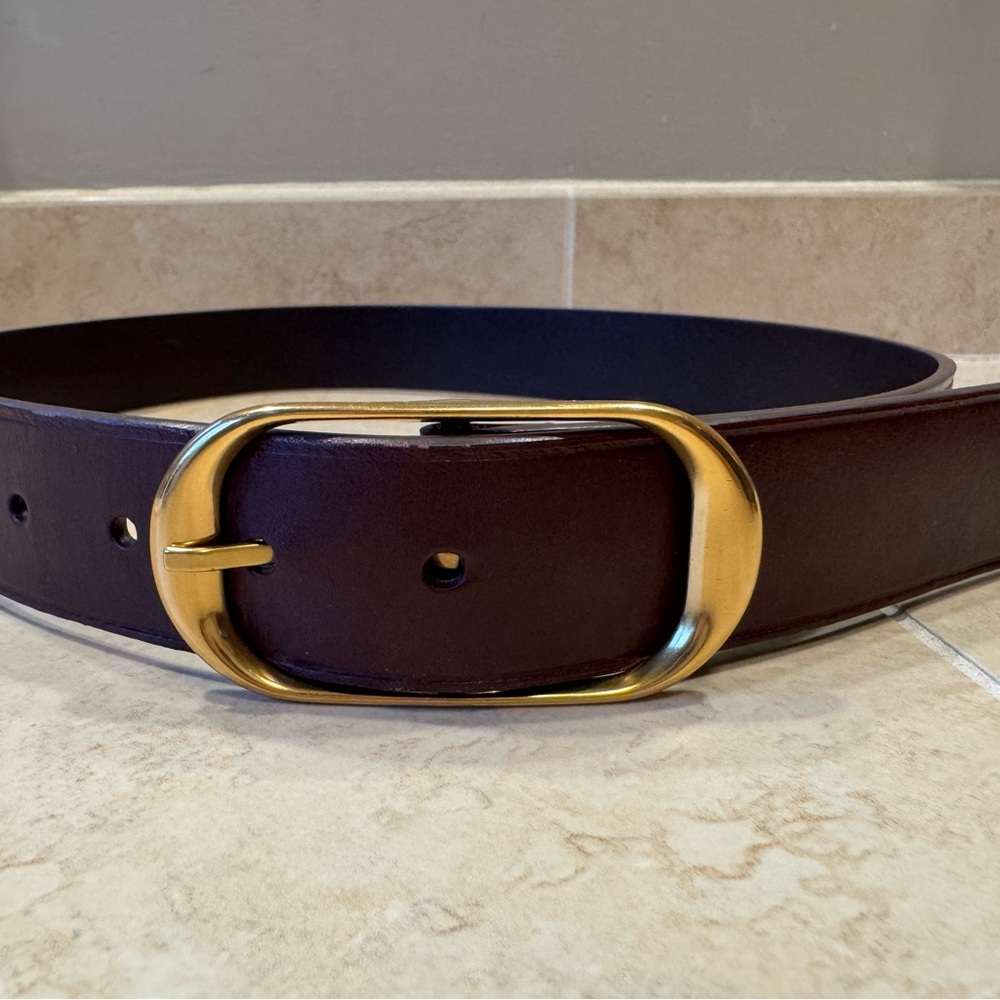 Aritzia Brown and Brass Leather Belt Classic Design